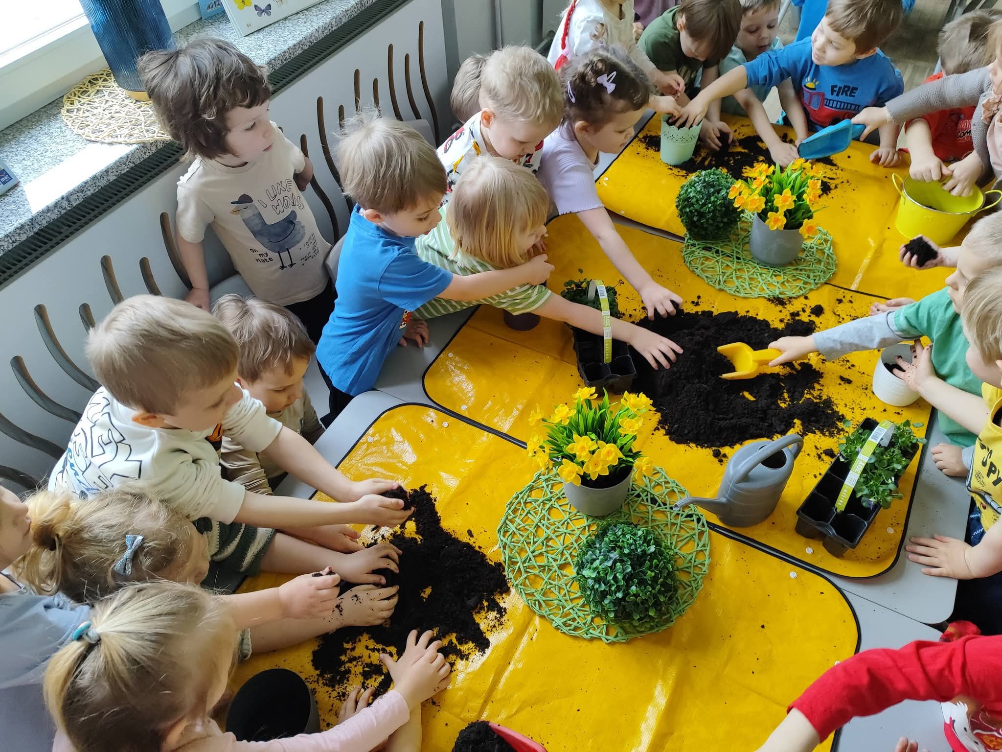  Dzieci na dywanie i kwiat...