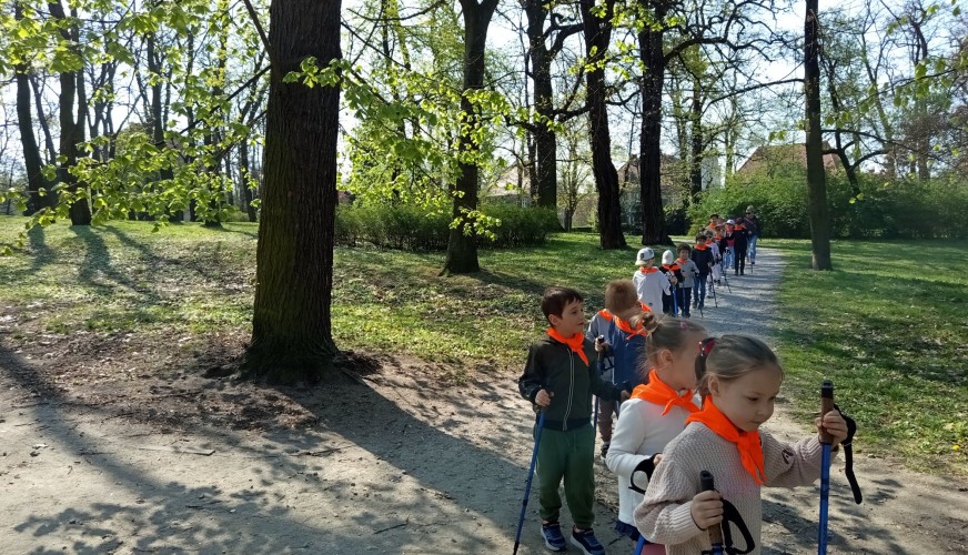 Dzieci z przedszkola w pomarańczowych kamizelkach wykonują nordic walking w parku
