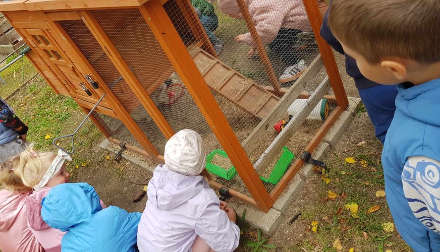 Kilkoro dzieci w kolorowych kurtkach ogląda drewnianą klatkę z kurami na szkolnym podwórku.
