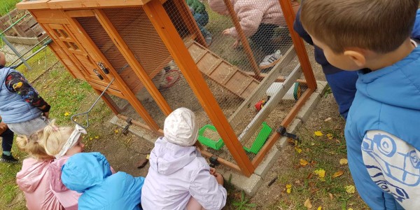 Kilkoro dzieci w kolorowych kurtkach ogląda drewnianą klatkę z kurami na szkolnym podwórku.